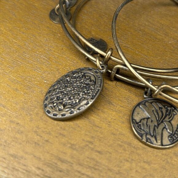 Alex and Ani Bracelet Set of three Mother daughter Sister Floral Gold charm - Picture 4 of 4